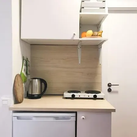 De Ziutek Apartment *